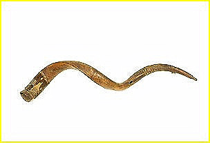 Modle dot d'une embouchure latrale, et ralis dans de la corne d'antilope. L: 77 cm. Ref: 010779. Muse ethnographique de Genve.