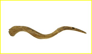 Mme type d'instrument. L: 82 cm. Ref: 010780. Muse ethnographique de Genve.